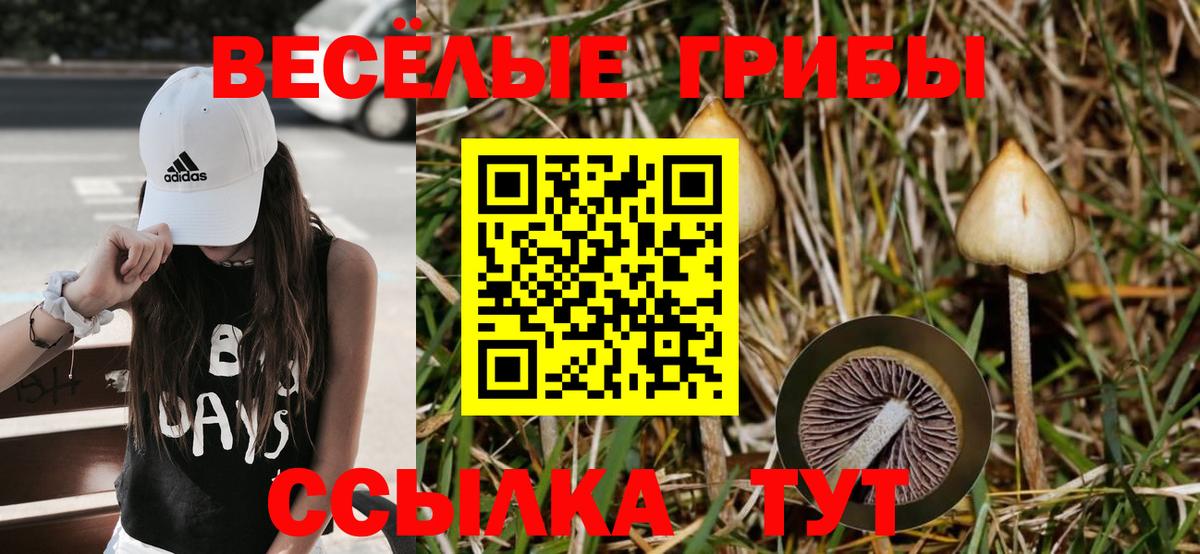 Галлюциногенные грибы Cubensis  Вход с VPN  Кумертау 