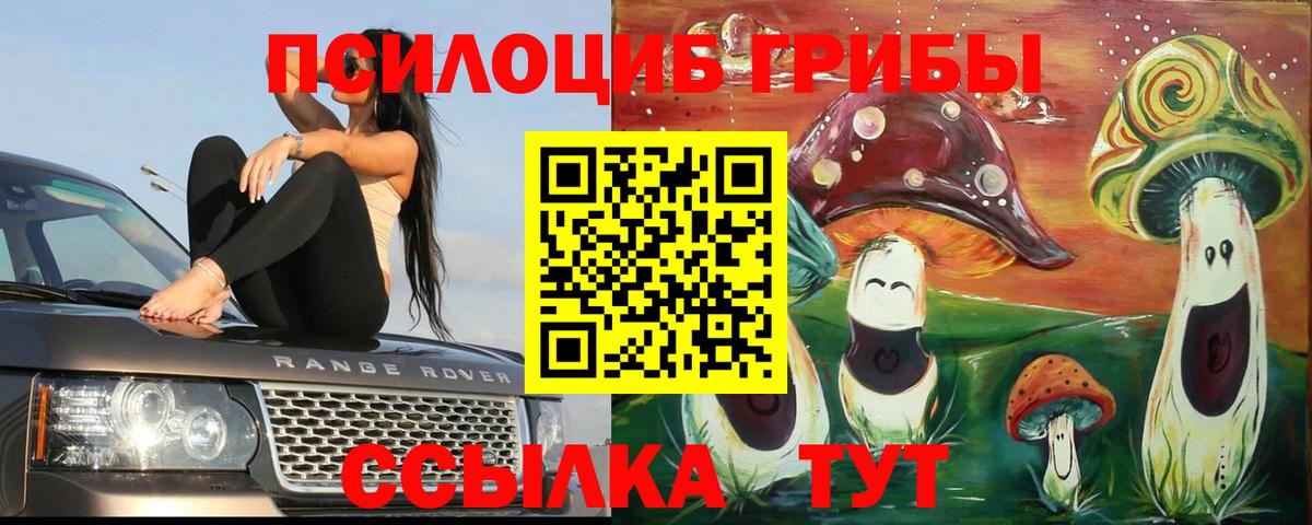 Галлюциногенные грибы Psilocybine cubensis Кумертау